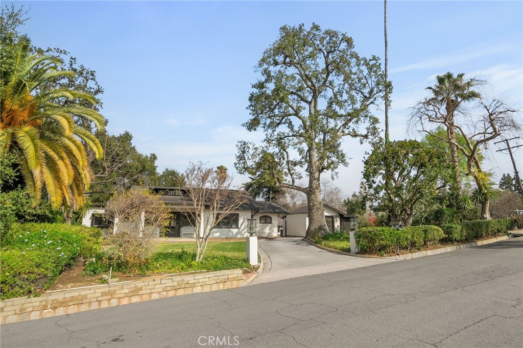 1365 Knoll Road Property Photo 5