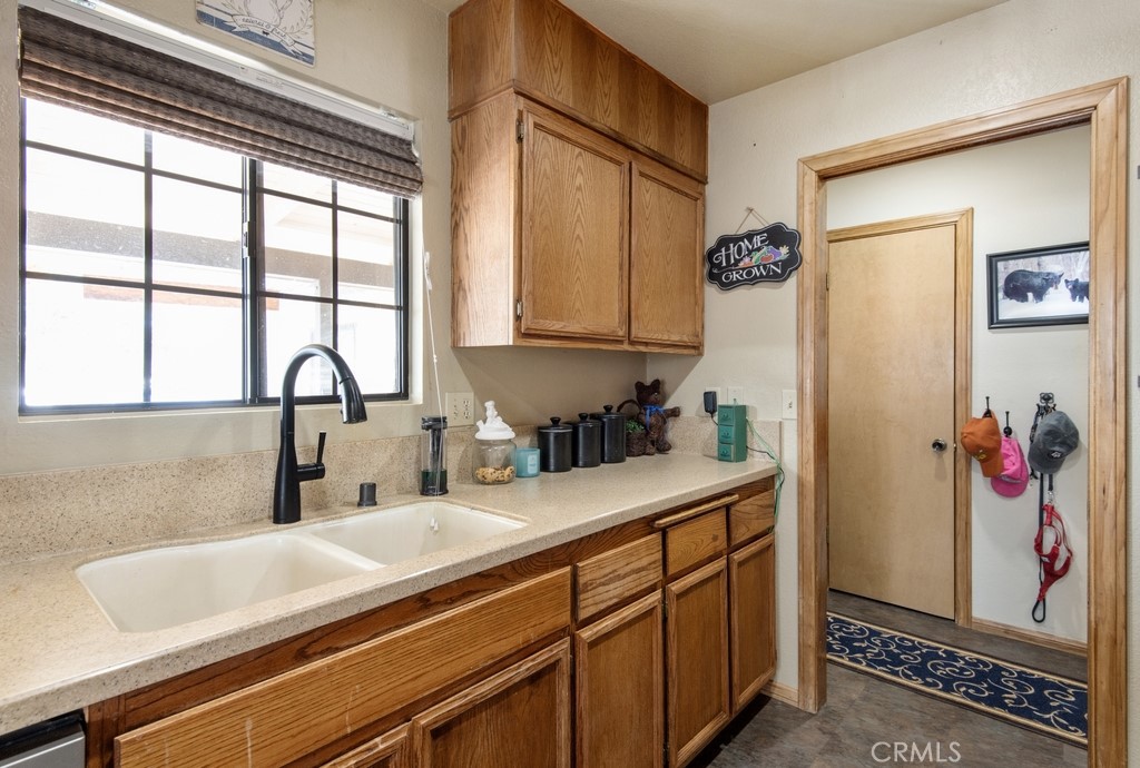 1164 Mount Doble Drive Property Photo 10