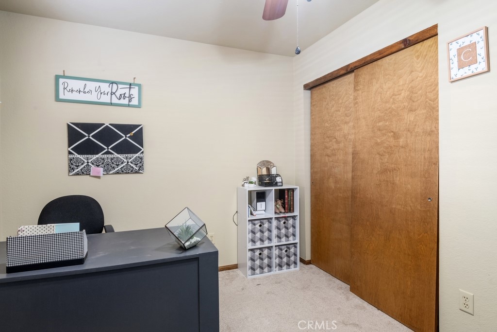 1164 Mount Doble Drive Property Photo 25