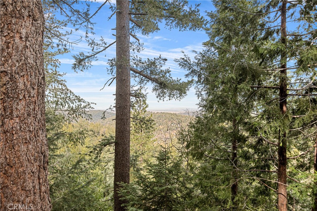 24052 Skyland Drive Property Photo 31