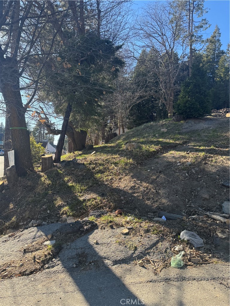 26600 Highway 18 Property Photo 4