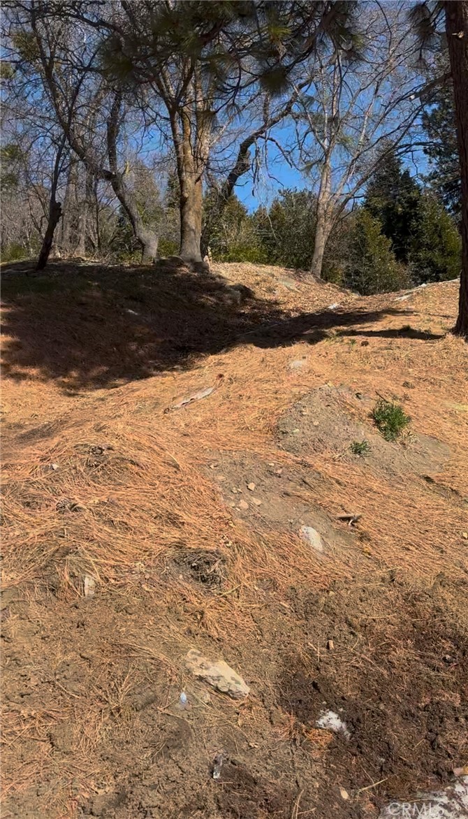 26600 Highway 18 Property Photo 9