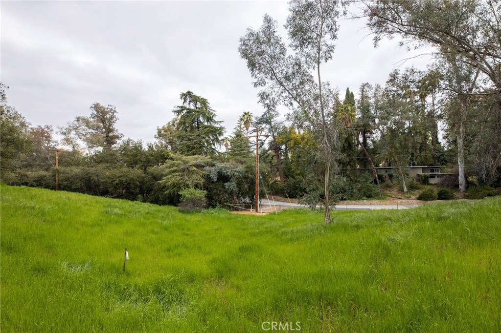 1702 Dwight Street Property Photo 6