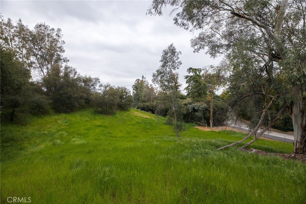 1702 Dwight Street Property Photo 8
