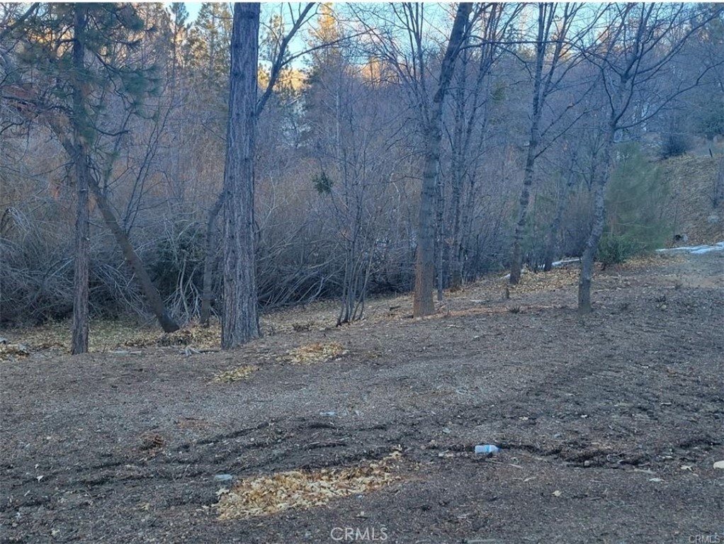 0 State Hwy 173 Property Photo 2