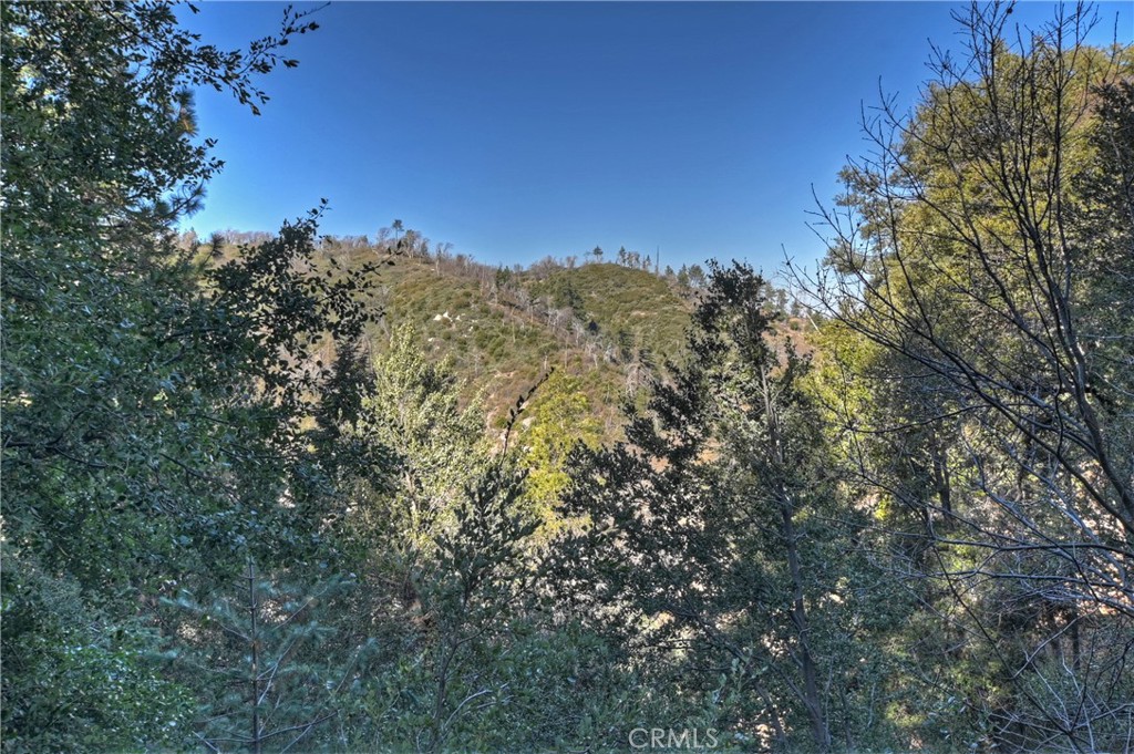 1162 Brentwood Drive Property Photo 43