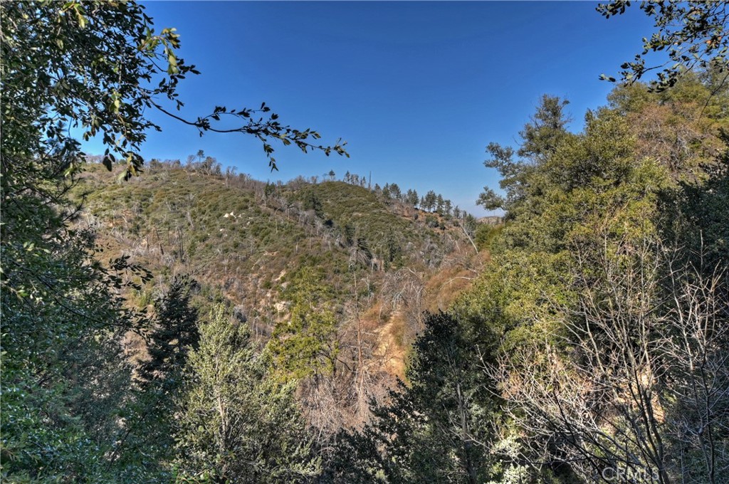 1162 Brentwood Drive Property Photo 44