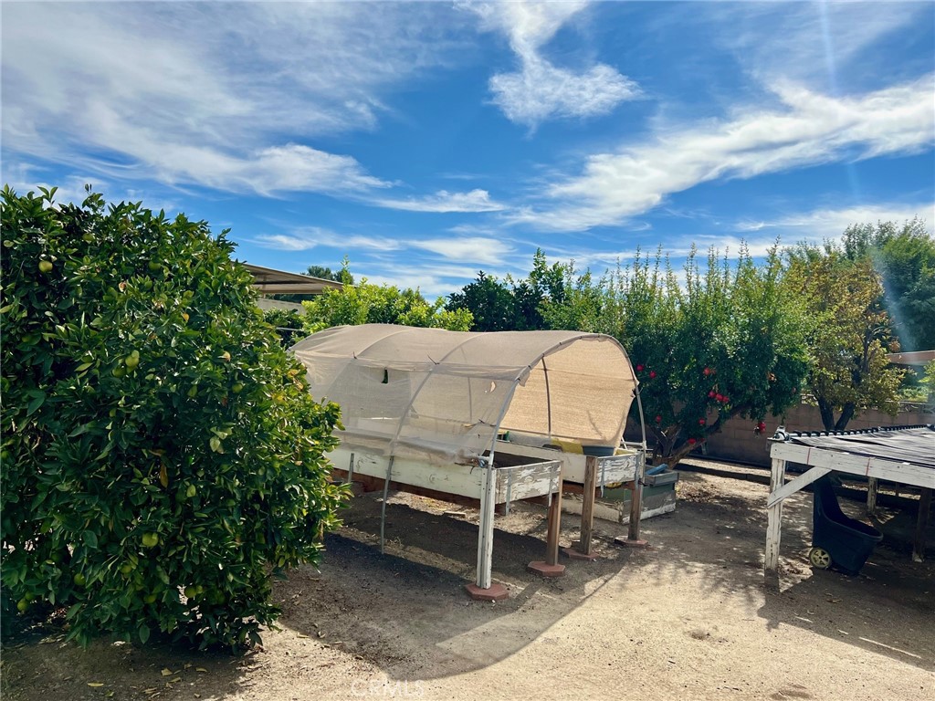 12545 15th Street Property Photo 49