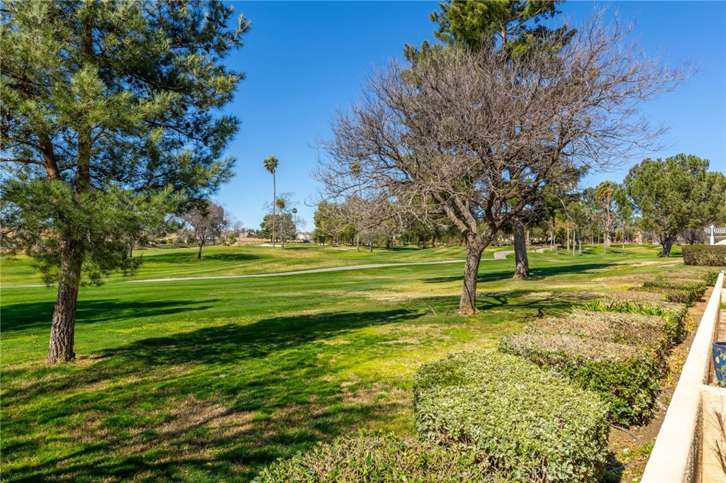 573 La Costa Drive Property Photo 24