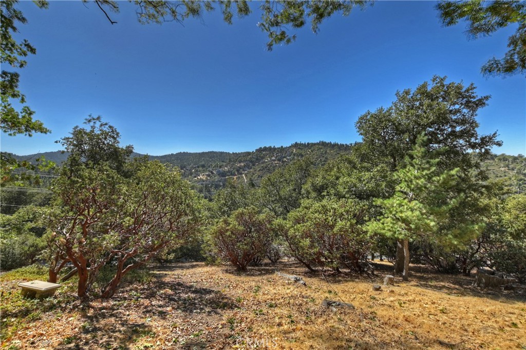 0 Grass Valley Road Property Photo 1