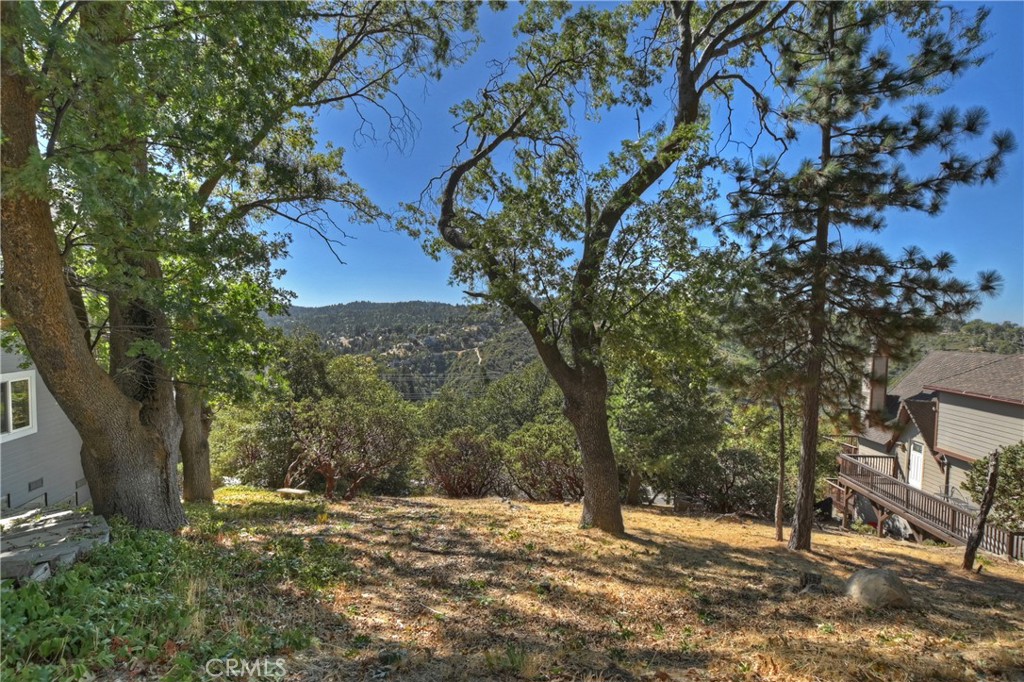 0 Grass Valley Road Property Photo 3