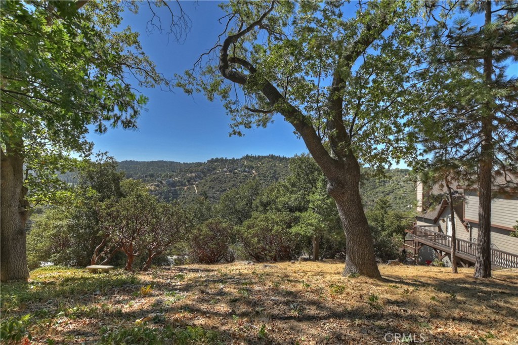 0 Grass Valley Road Property Photo 4