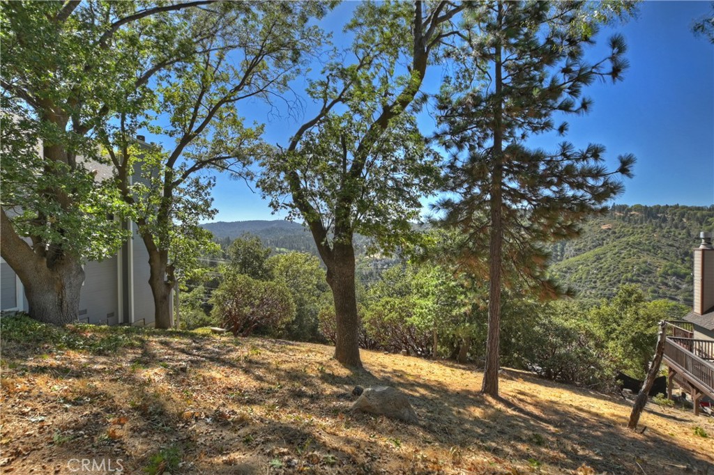 0 Grass Valley Road Property Photo 6