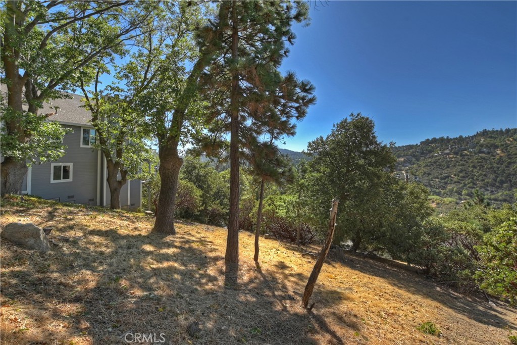 0 Grass Valley Road Property Photo 7