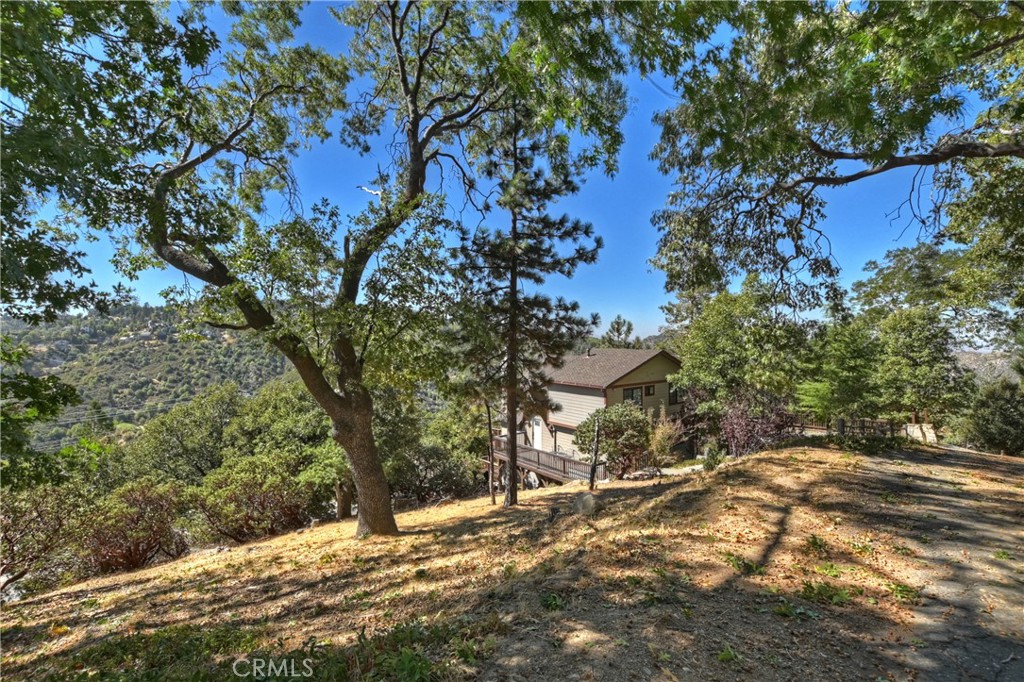 0 Grass Valley Road Property Photo 9