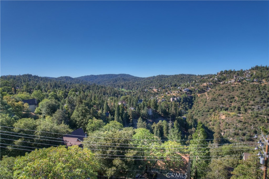 0 Grass Valley Road Property Photo 10