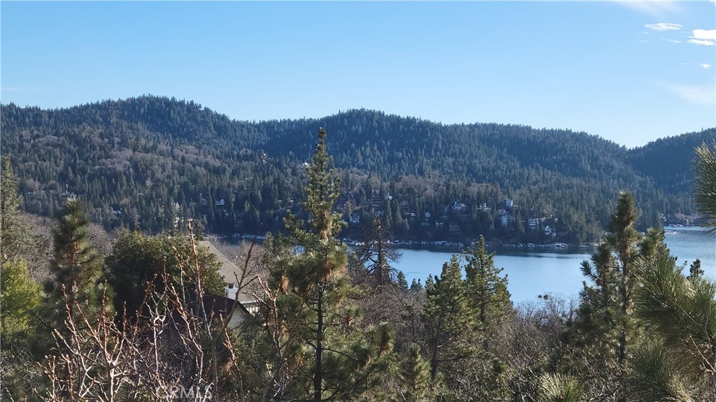 1239 Yosemite Drive Property Photo 2