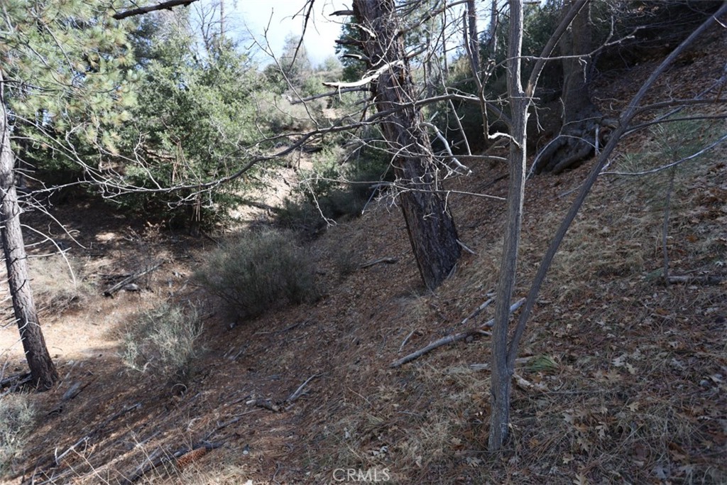 0 Acacia Road Property Photo 8