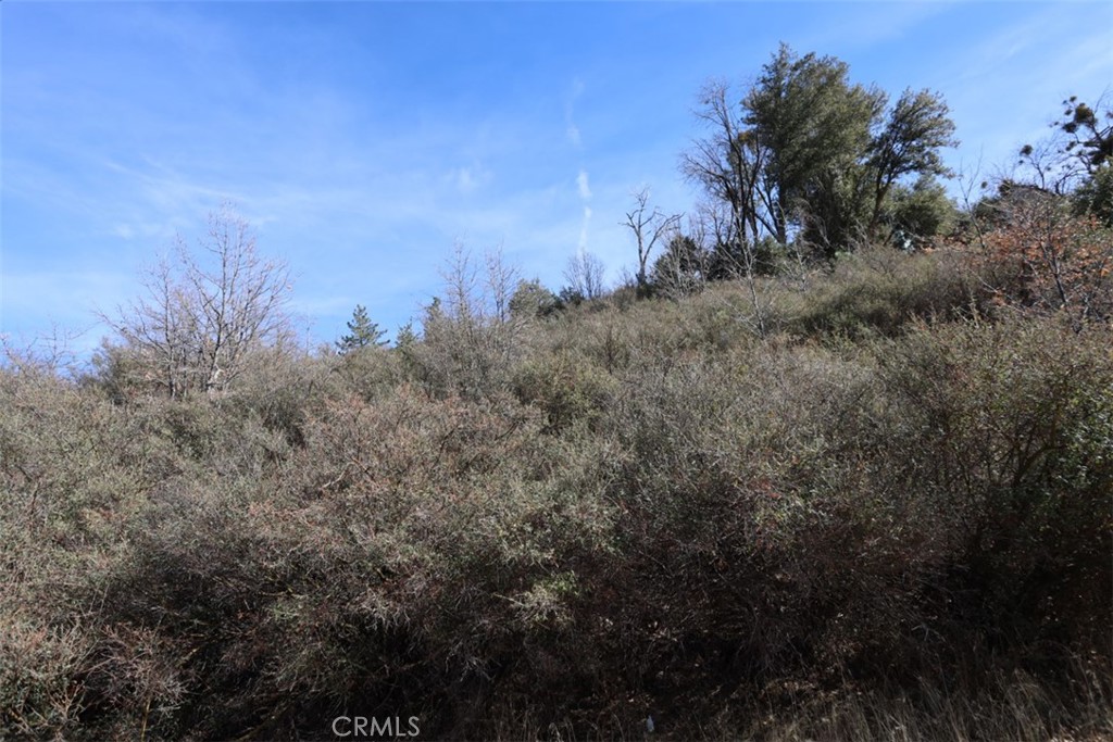 721 Acacia Road Property Photo