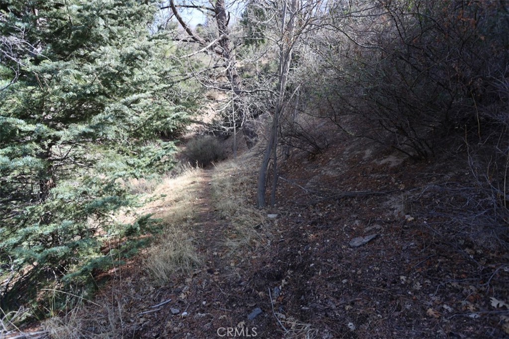 721 Acacia Road Property Photo 3