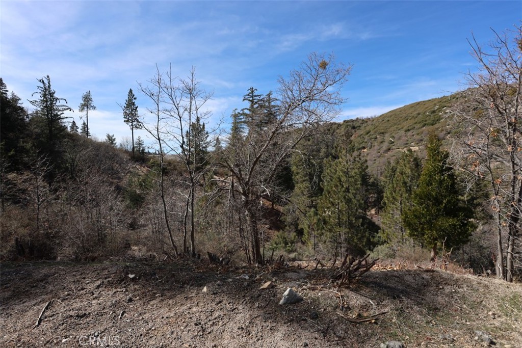 721 Acacia Road Property Photo 5