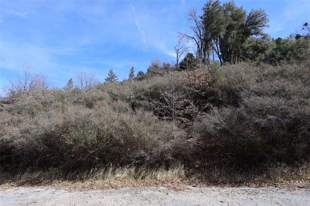 717 Acacia Road Property Photo 3