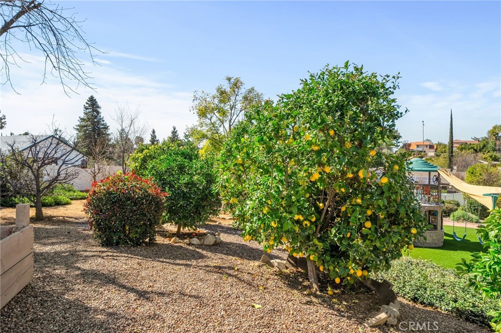31027 E Sunset Drive N Property Photo 66