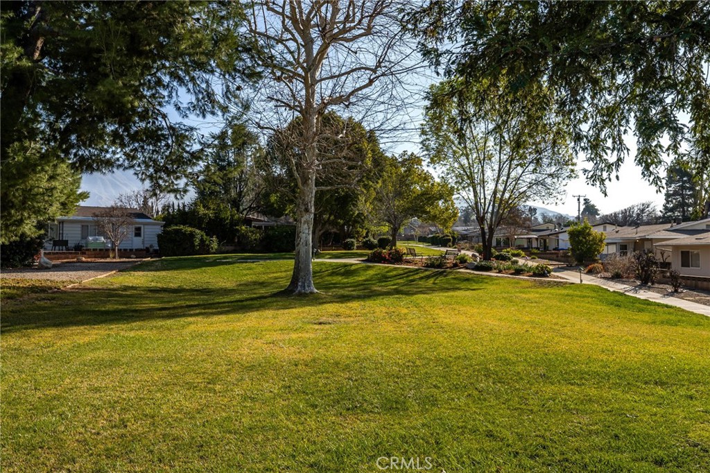 11979 Peach Tree Road Property Photo 27