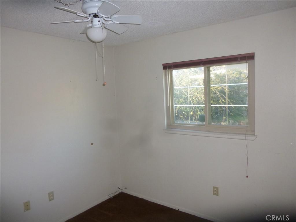 5257 Carlton Street Property Photo 24