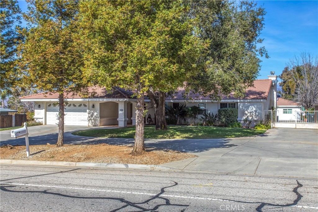 35802 Wildwood Canyon Road Property Photo 4