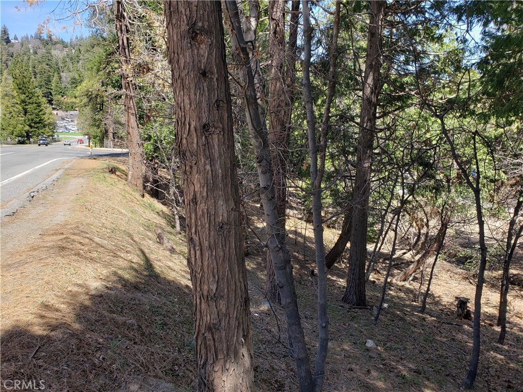 0 San Moritz Drive Property Photo 7