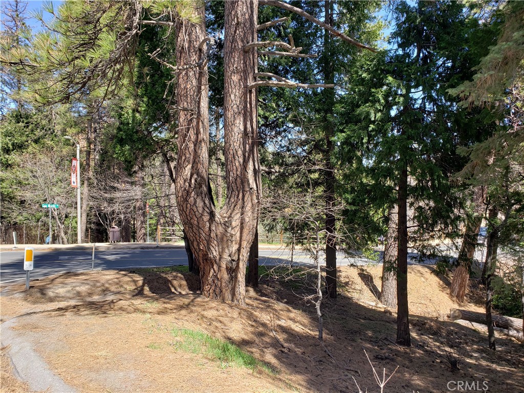 0 San Moritz Drive Property Photo 11
