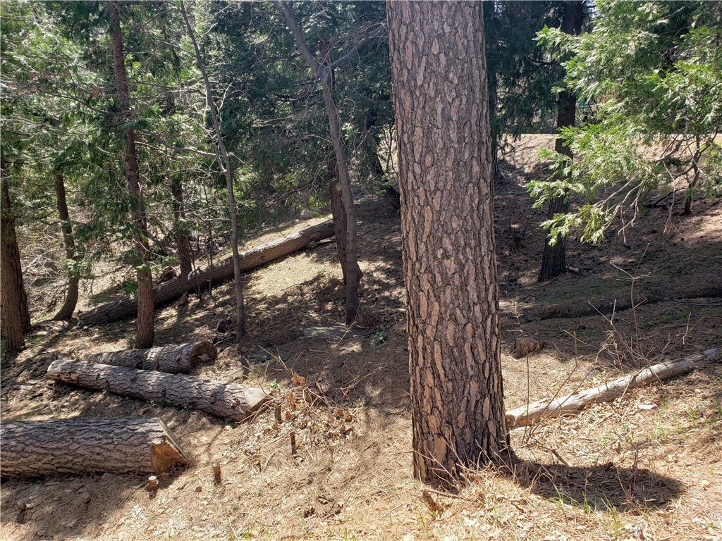 0 San Moritz Drive Property Photo 17
