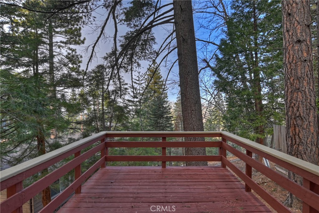 31738 Christmas Tree Lane Property Photo 12
