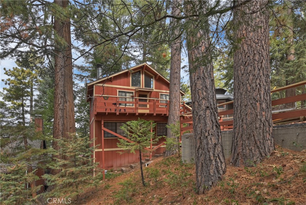 31738 Christmas Tree Lane Property Photo 14