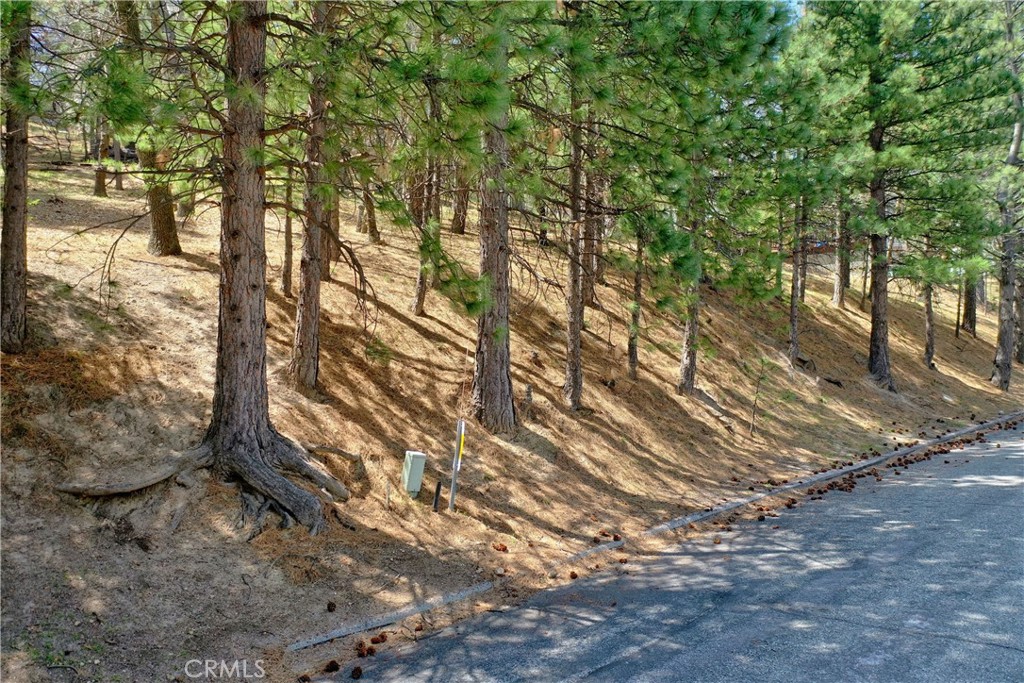 0 Pixie Drive Property Photo 3