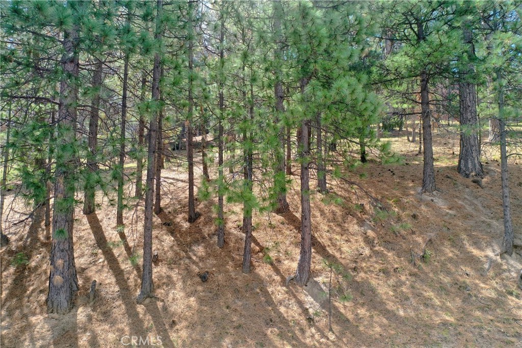 0 Pixie Drive Property Photo 4