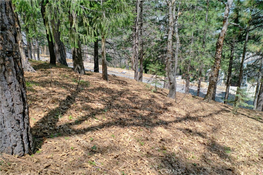 0 Pixie Drive Property Photo 6
