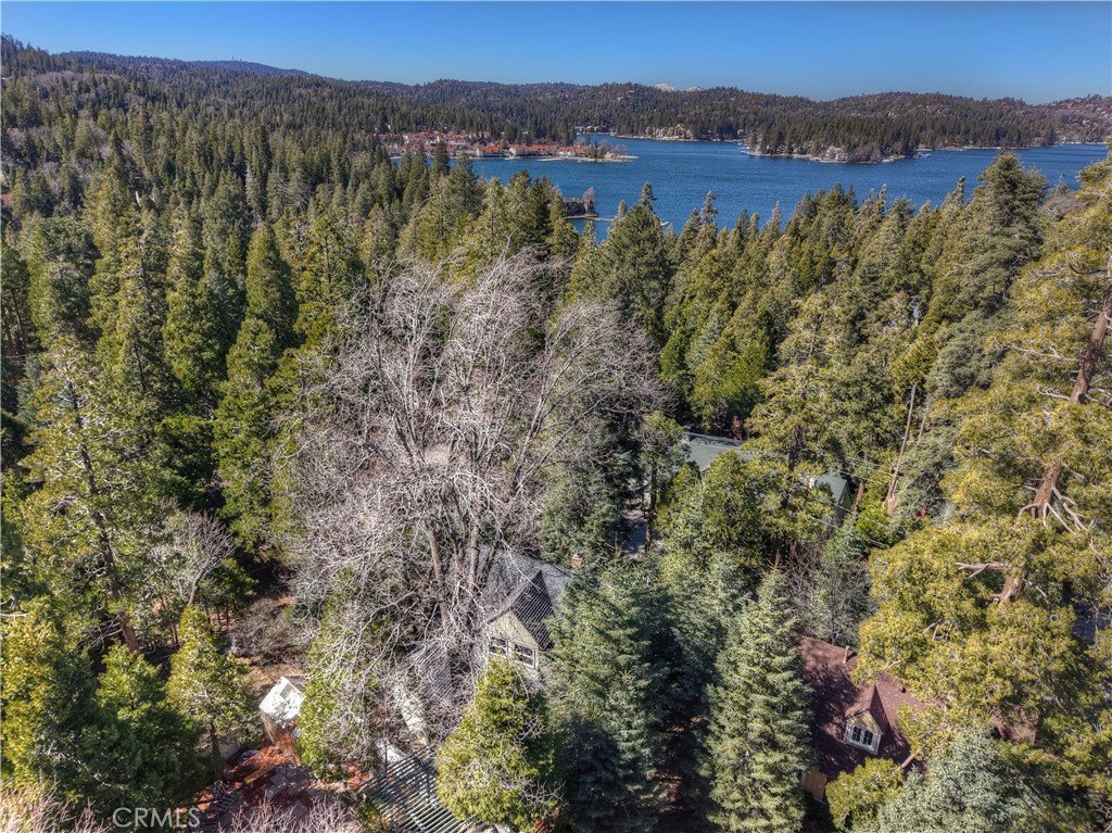 177 Joaquin Miller Road Property Photo 47