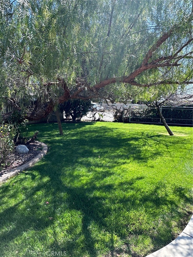 33518 Colorado Street Property Photo 4