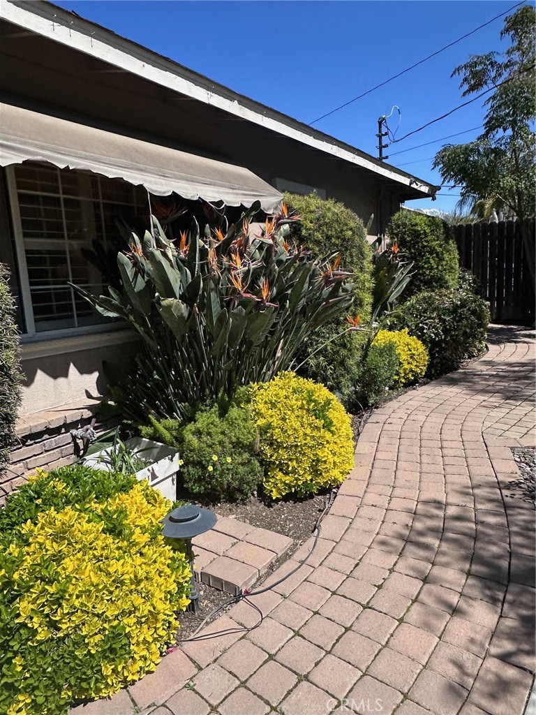 33518 Colorado Street Property Photo 6