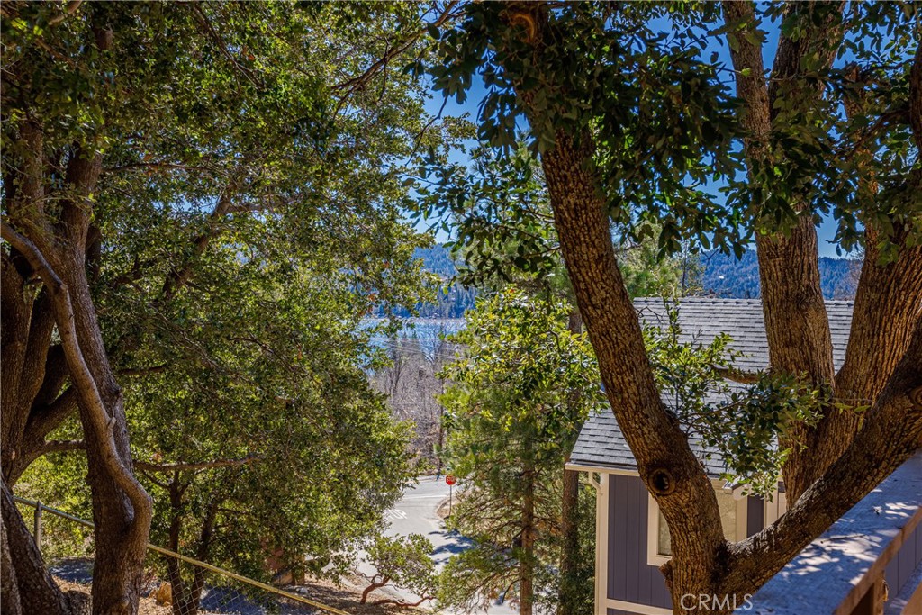 28824 Zion Drive Property Photo 31