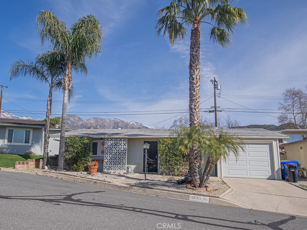 11675 Calvin Street Property Photo 1