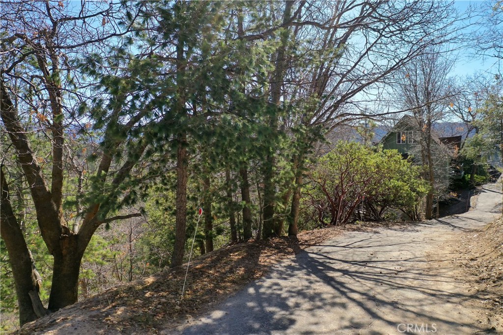 0 Alpen Drive Property Photo 5