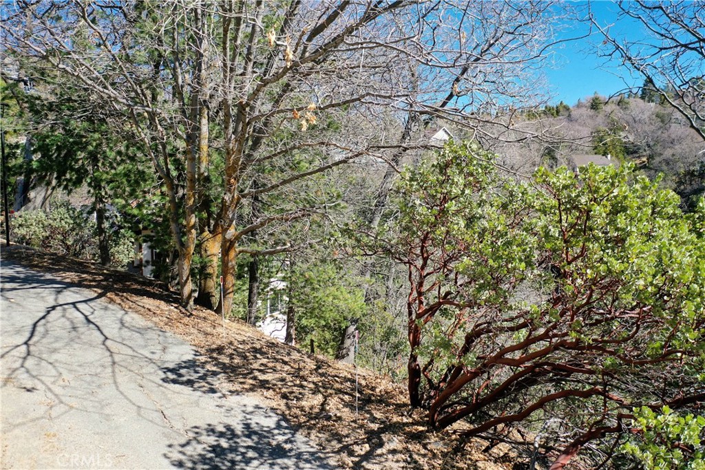 0 Alpen Drive Property Photo 6