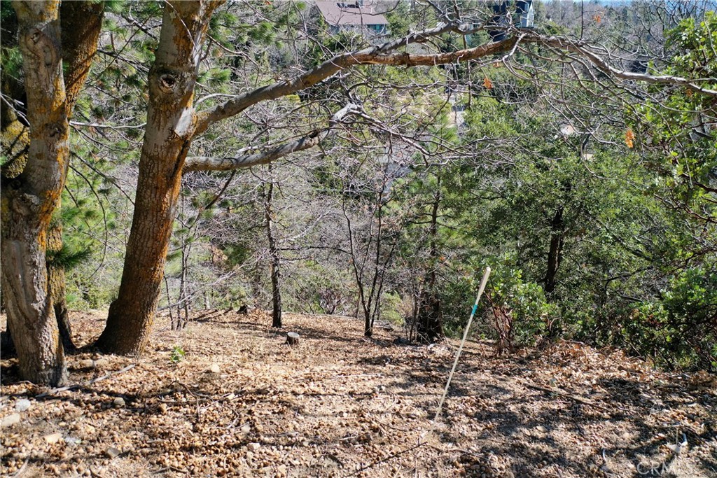 0 Alpen Drive Property Photo 7