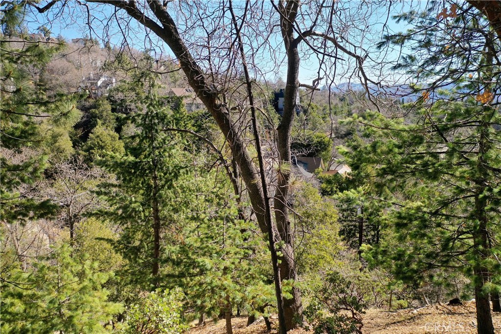 0 Alpen Drive Property Photo 8