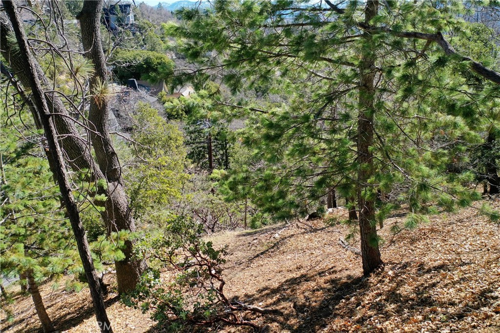 0 Alpen Drive Property Photo 9