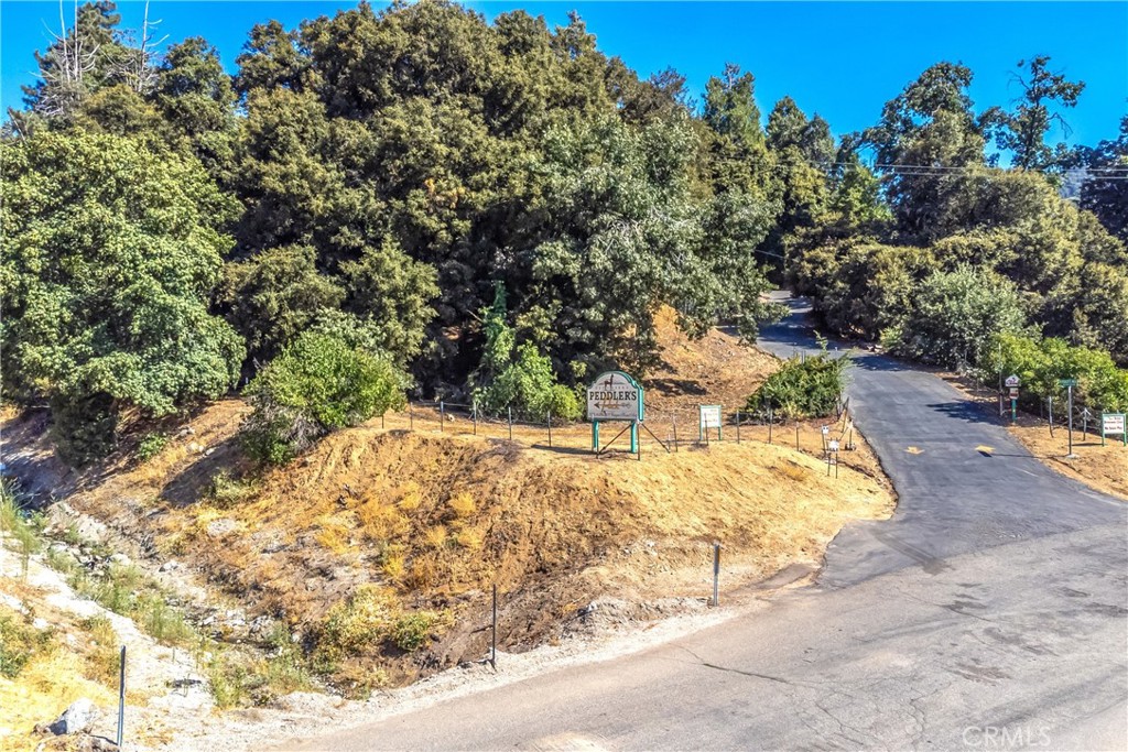 39001 Harris Road Property Photo 4