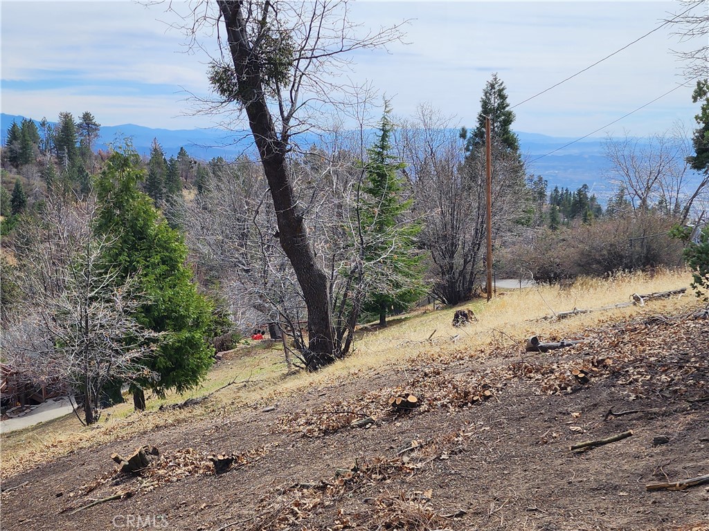 30914 Old City Creek Road Property Photo 7